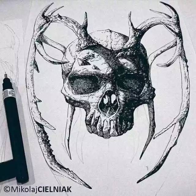 针管笔绘画|动物,骷髅,插画作品欣赏