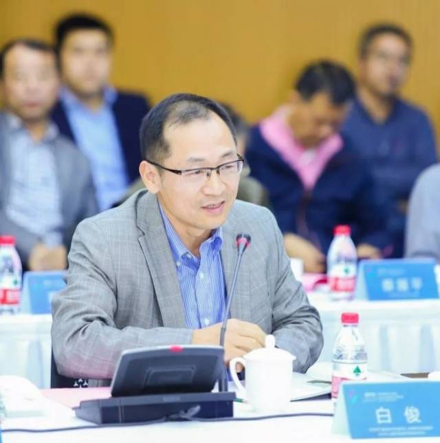 白俊 北京燃气集团研究院副院长,原国家发改委国际合作中心国际能源