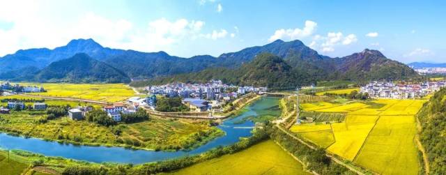 【美在诸暨】美丽富裕的枫源村