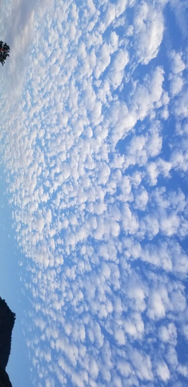 实拍蔚蔚蓝天白云全景 碧空如洗美得倾心