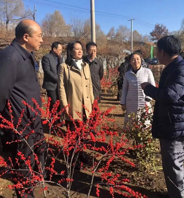 汤艳副市长调研北国红豆谷产业发展情况