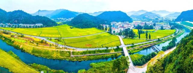 【美在诸暨】美丽富裕的枫源村