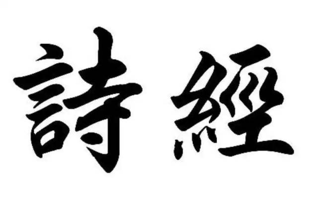 周末跟冬颖老师读《诗经》:《豳风·伐柯》