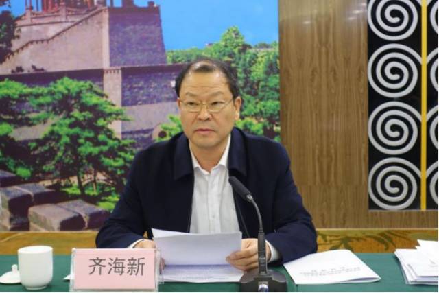 齐海新局长发言