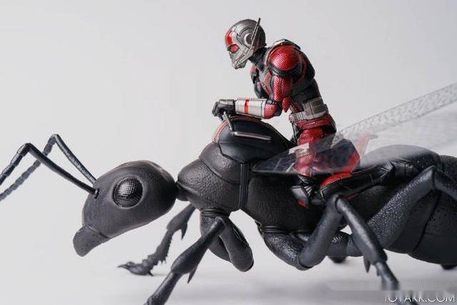 h. figuarts ant-man2 shf蚁人带坐骑版开盒图_手机搜狐网