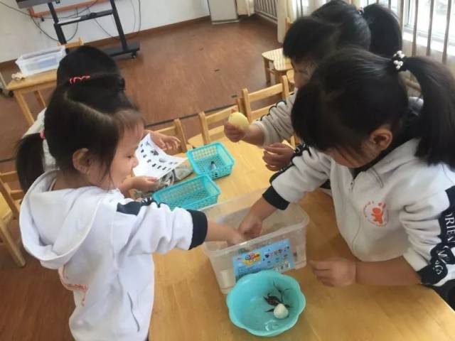 探索科学乐趣——如何为幼儿挑选优质科学实验培训课程
