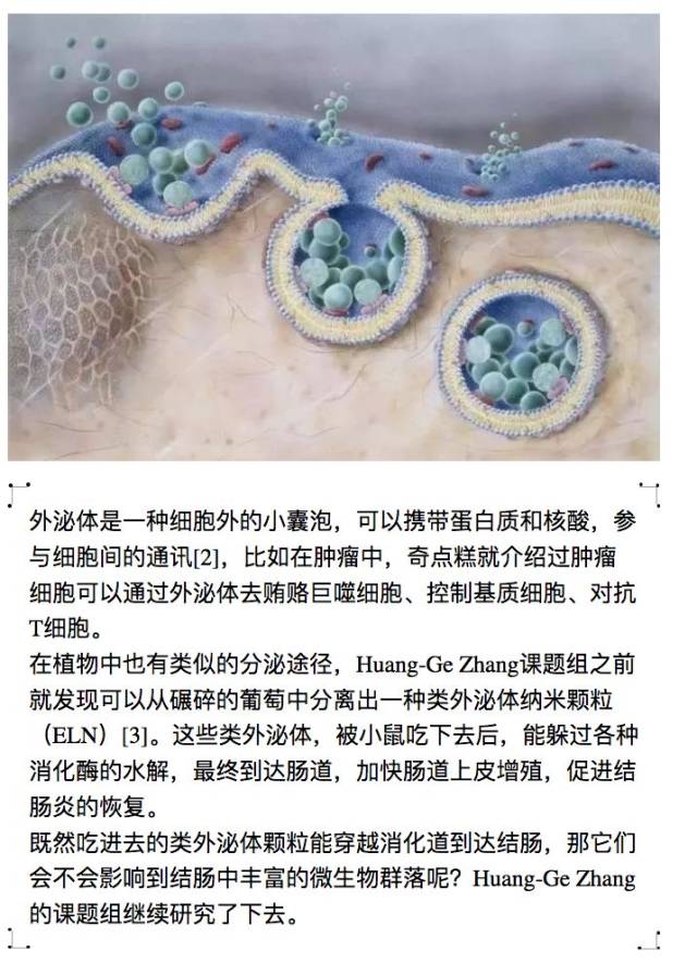 《细胞》子刊:厉害了,我的姜!