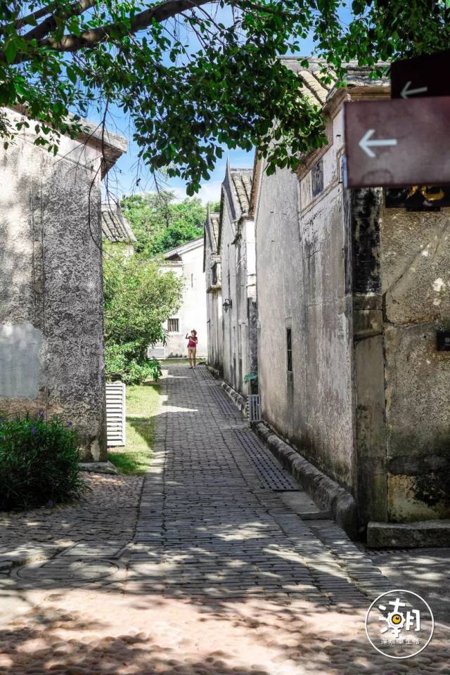 两旁的大树遮住大部分的阳光 日光星星点点的洒在路上 让深圳稍微有点