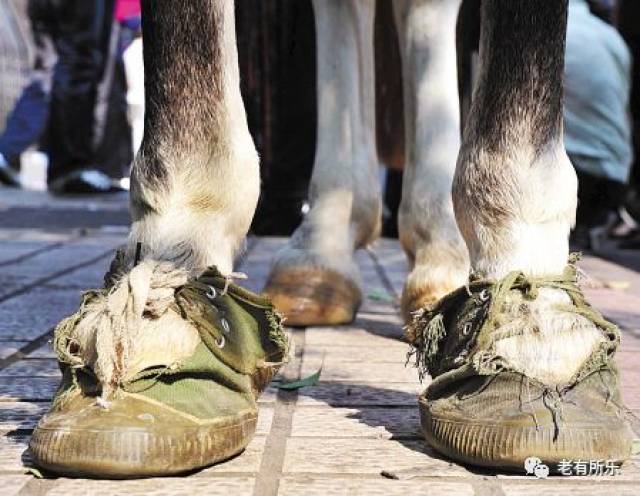 为什么是露马脚而不是露人脚今天总算知道了