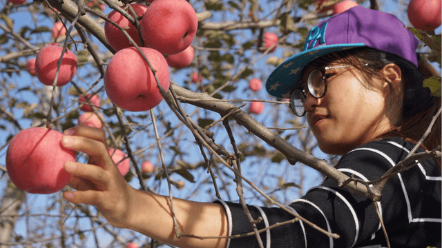 一心想让孩子们继续读书,王广虎只能让自己再苦点