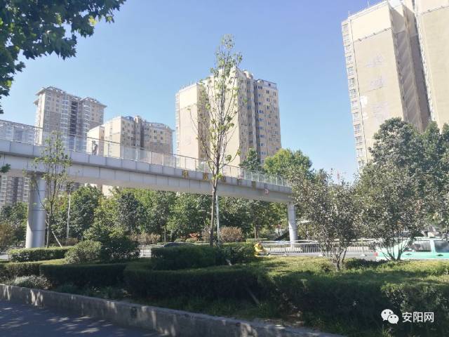 【超美】安阳中华路:展示安阳城建发展的景观大道