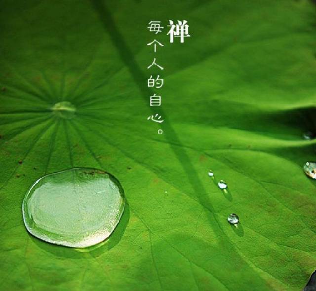 读到最后,收获最大!