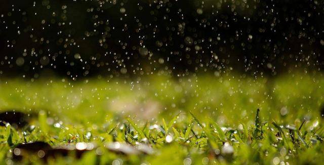 10句寫雨的唯美詩詞:平湖漠漠雨霏霏,壓水人家燕子飛