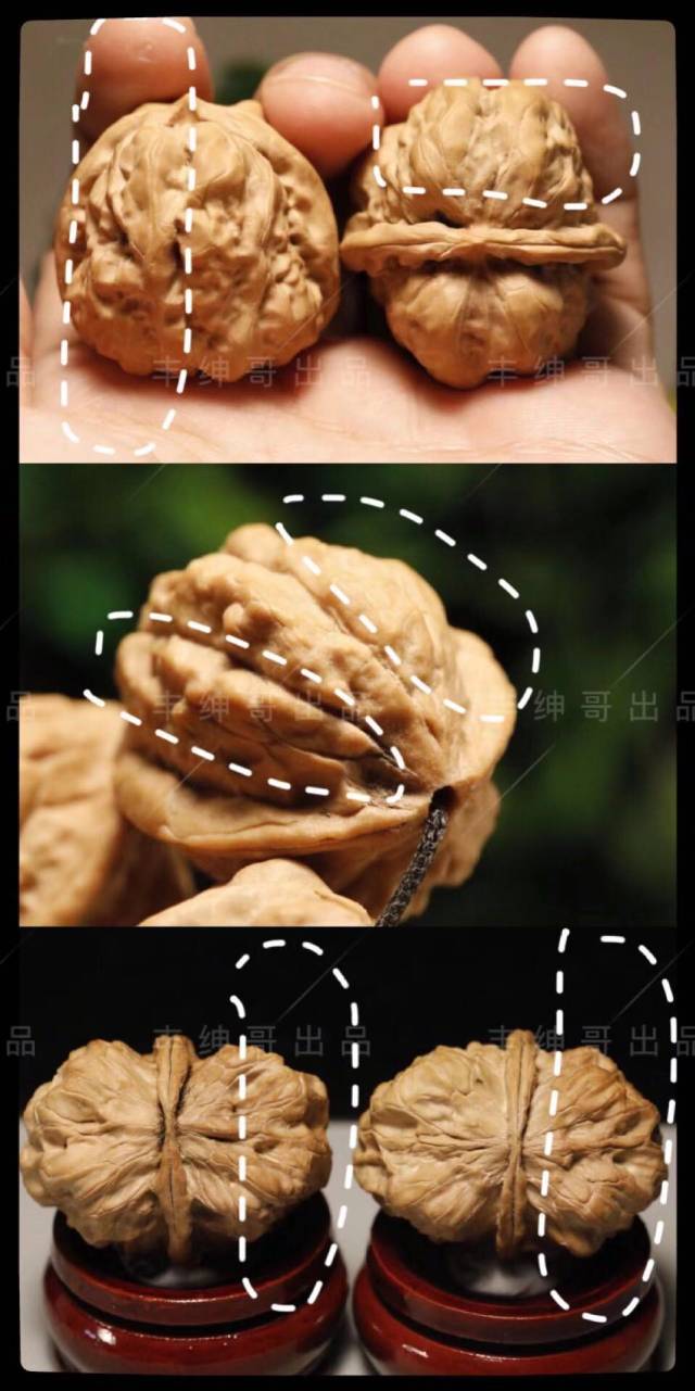三种文玩蛤蟆头核桃不要混为一谈_河南