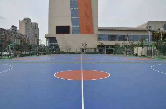 【居行】三林体育中心全面对外开放!运动又多一个好去处
