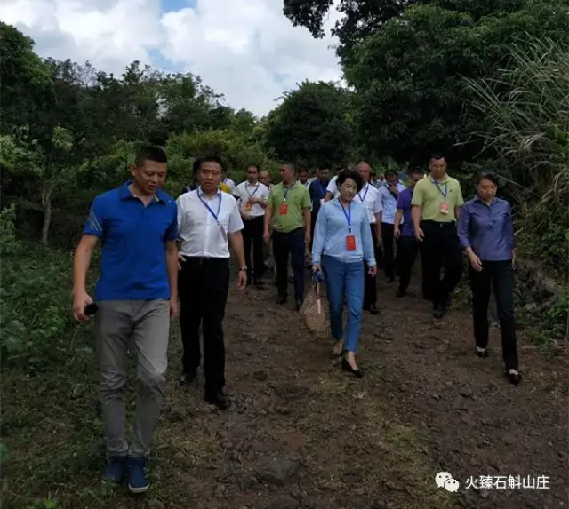 海口市秀英區石山鎮人大代表蒞臨火臻石斛山莊視察指導