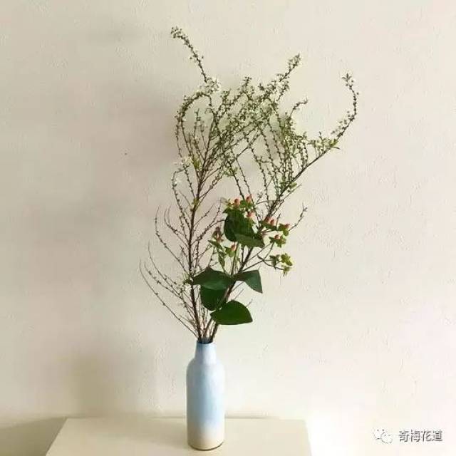 雪柳的寓意和象征,雪柳花寓意,象征和平的花_大山谷图库