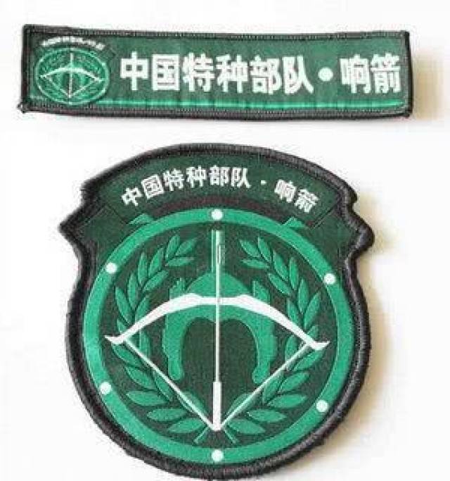 解放军特种部队臂章图片