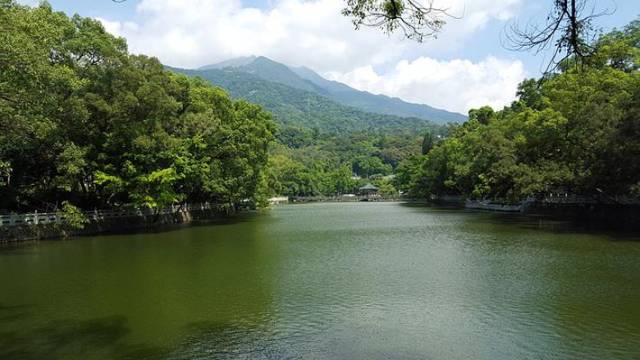 一放假就待不住想出去遊山玩水的三大生肖