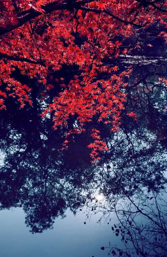 水始冰,地始冻,天地萧肃,善自珍摄