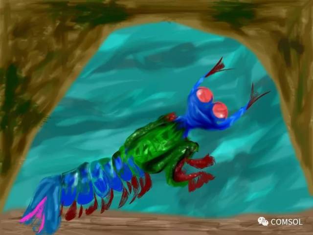 来自螳螂虾的灵感:超灵敏成像系统仿生设计