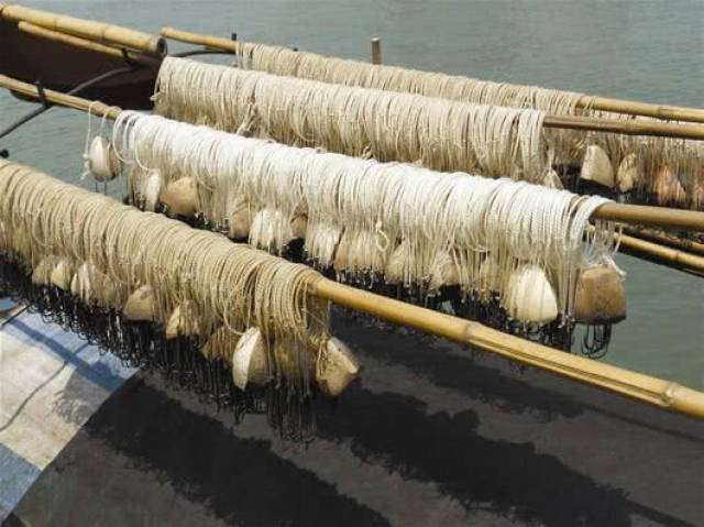 这是一种传统捕鱼工具"滚钩"鱼越大效果越好_手机搜狐网