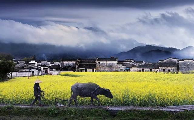 2018"记住乡愁"中国(黟县)乡村旅游摄影大展入展作品欣赏!