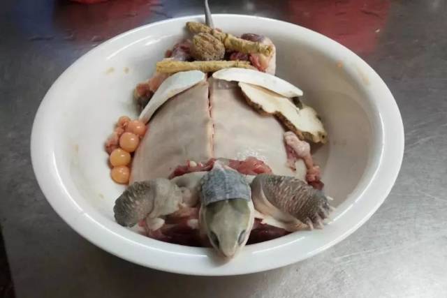 石金钱龟的食疗价值