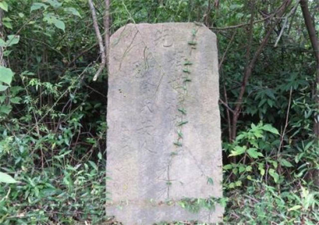 对比李嘉诚和马云的祖坟:一个气派,一个荒凉,差距太大了