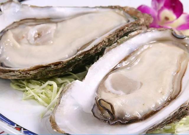 舌尖上的生蚝—乳山大牡蛎_手机搜狐网