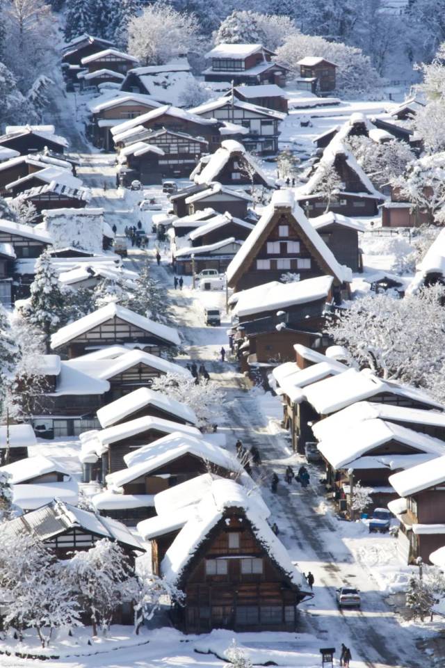 趁著日本還未下雪時,提前預定你的