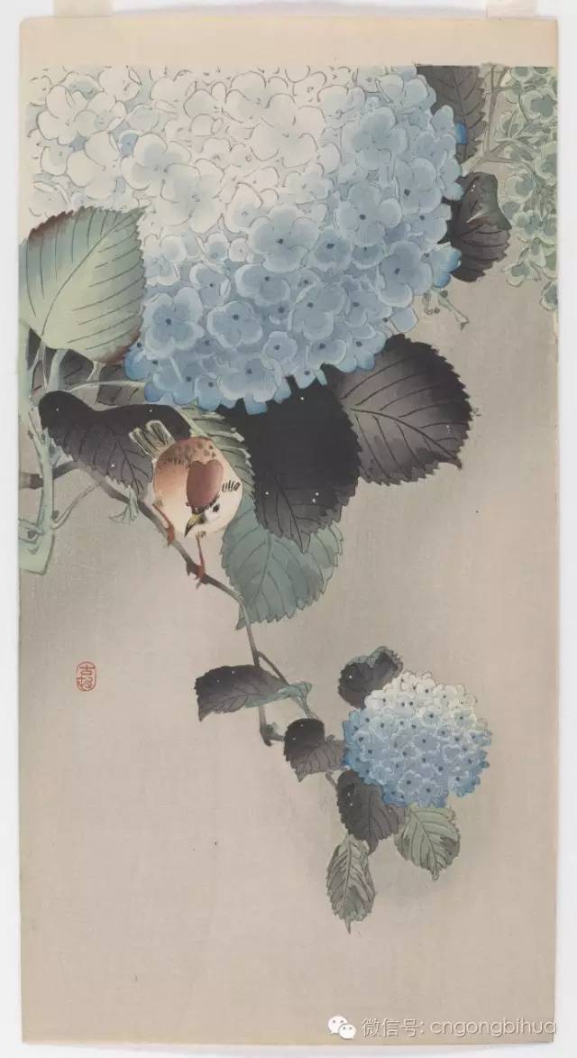 小原古邨工笔花鸟画选日本