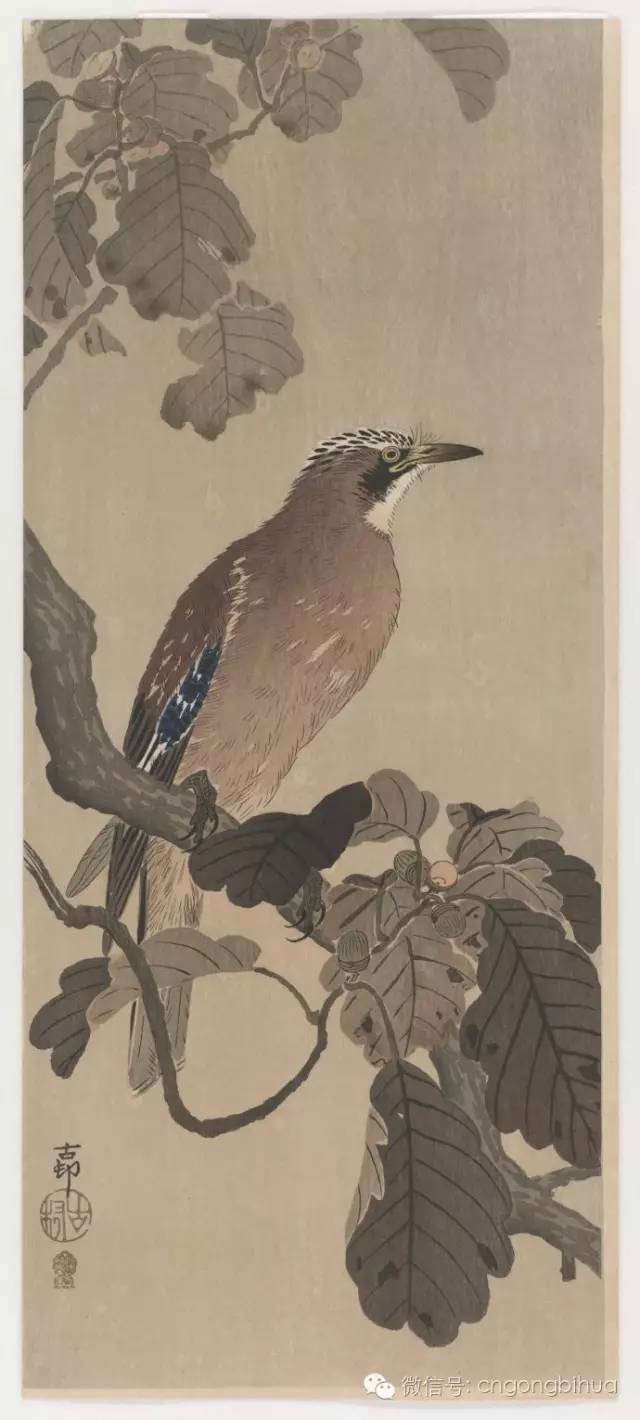 小原古邨工笔花鸟画选日本