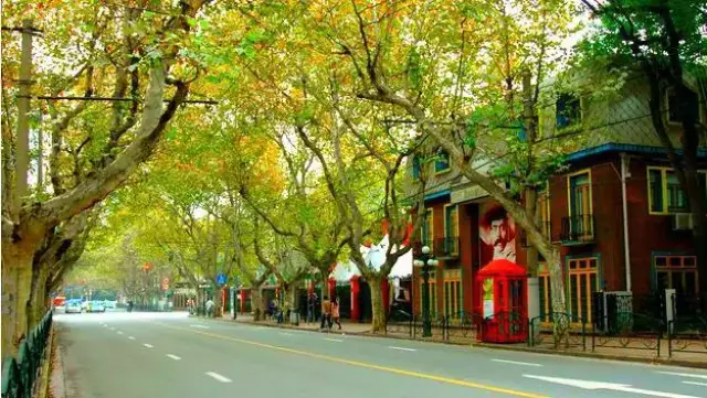 漫步魔都衡山路,邂逅美豪丽致,寻一份老上海的记忆
