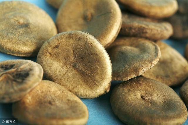 中药马钱子:散结消肿,通络止痛,祛湿拘挛!