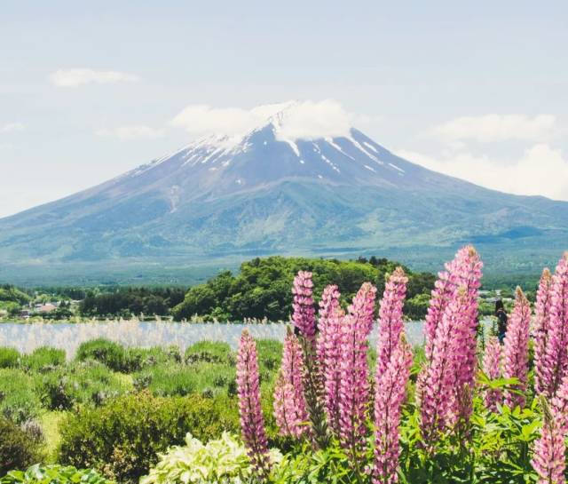 谁能凭爱意要富士山私有”丨日本人眼中的富士山_手机搜狐网