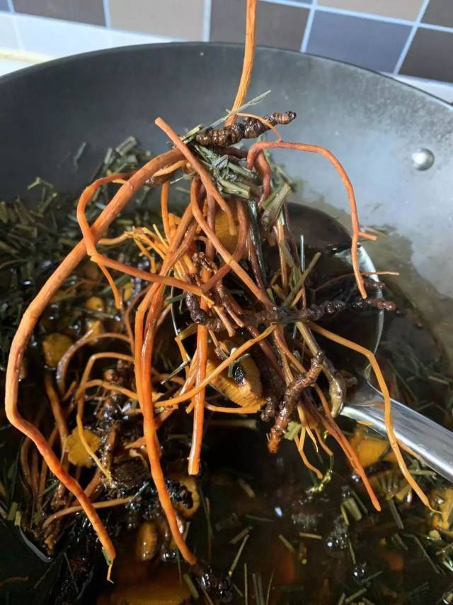 中药能苦到什么程度?把最苦的中药材料结合