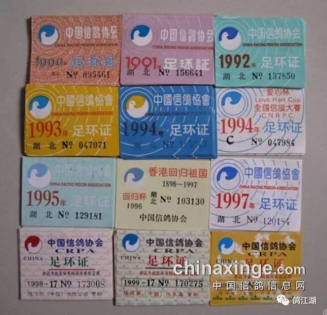 2019年信鸽足环的规格和样式一览(足环是红色,黑色取消)