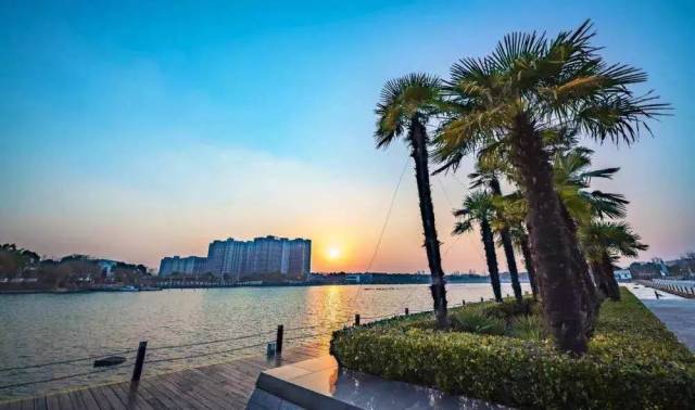 夜色崇明岛,缱绻了无限风光,我在绿地长岛等你来赏!