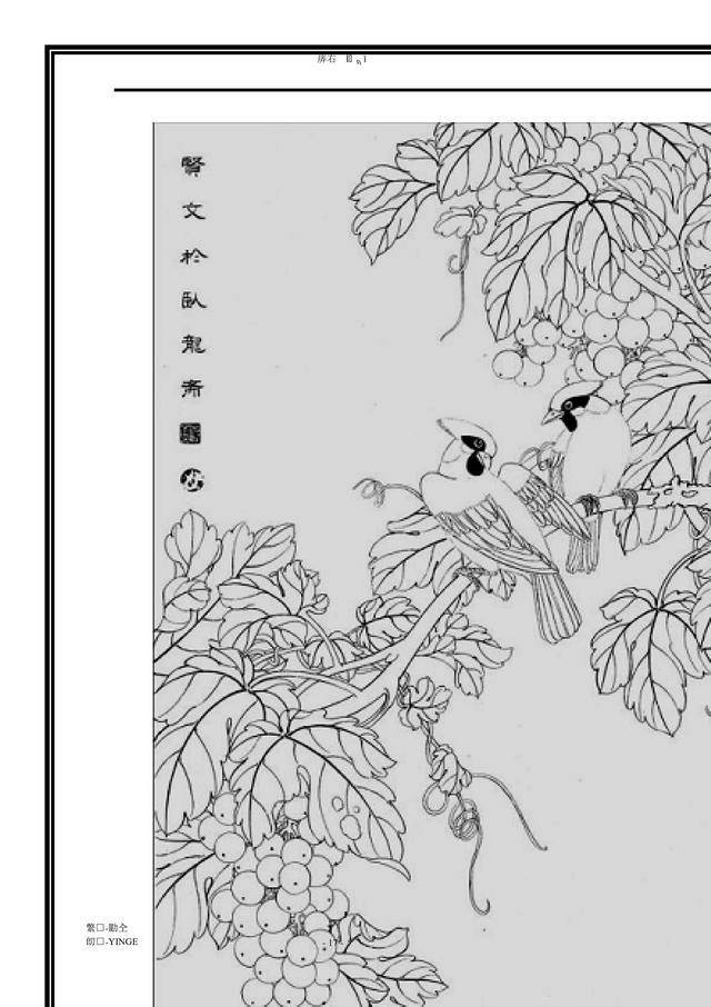 工笔画-花鸟图(白描)干货 没事可以临摹下 收藏吧!