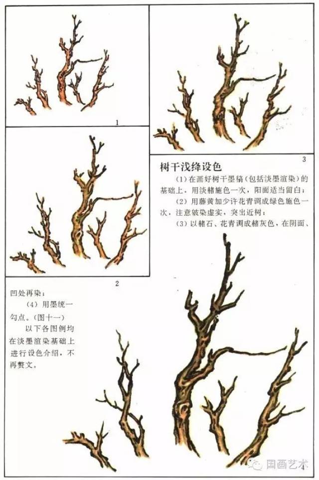 鹿角枝和蟹爪枝的画法图片