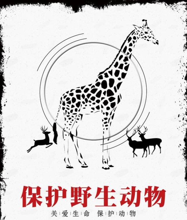 " 野生鸟类科普摄影展 " 普及鸟类知识 激发社会公众保护环境 爱护