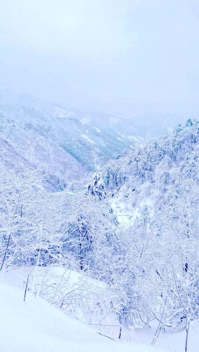 大兴安岭雪花还在飞舞图片