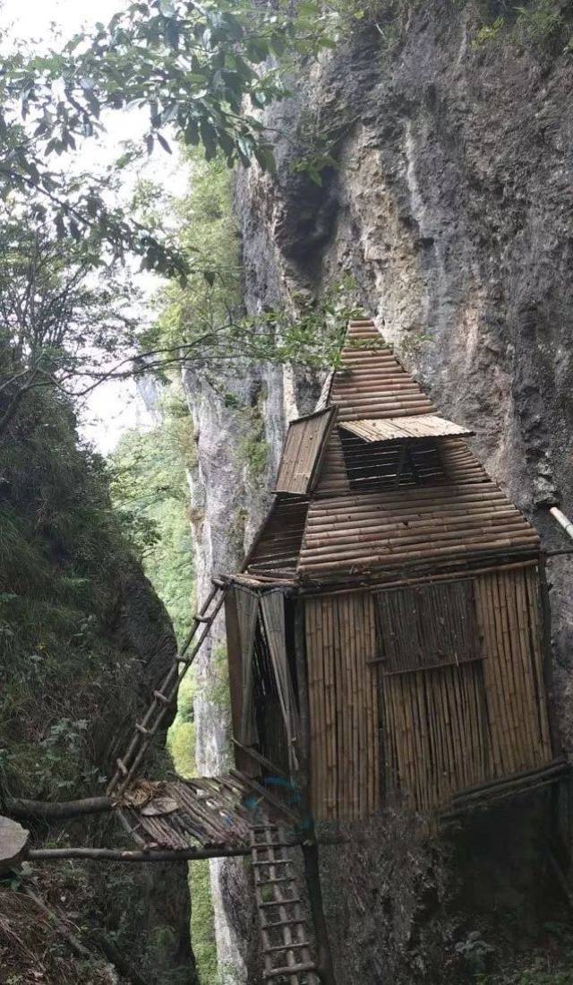 鹤峰小伙悬崖上徒手建竹屋 引得网上超百万人围观
