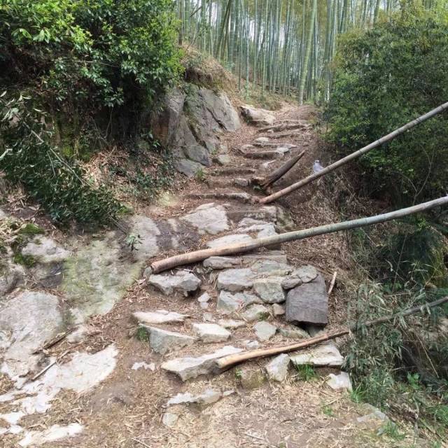 独松关古道位于安吉县递铺镇双溪口村,与位于余杭境内的幽岭关,百丈关