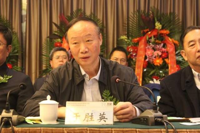 创新提升物流效率,让"天轨"成第六通道!双11这天专家这样说