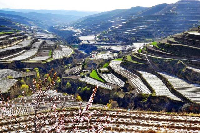 平凉天门塬,平凉(第2页)_大山谷图库