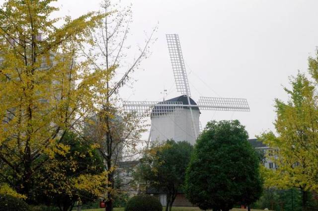 在光谷民族大道拥堵的喧嚣里,看见关山公园秋色愈浓!