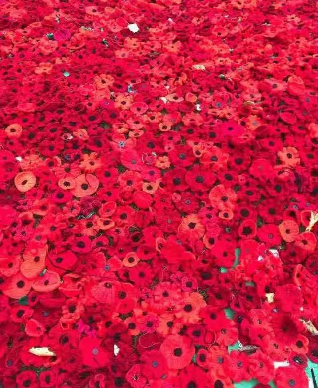 dorset的警车也挂上了小红花.