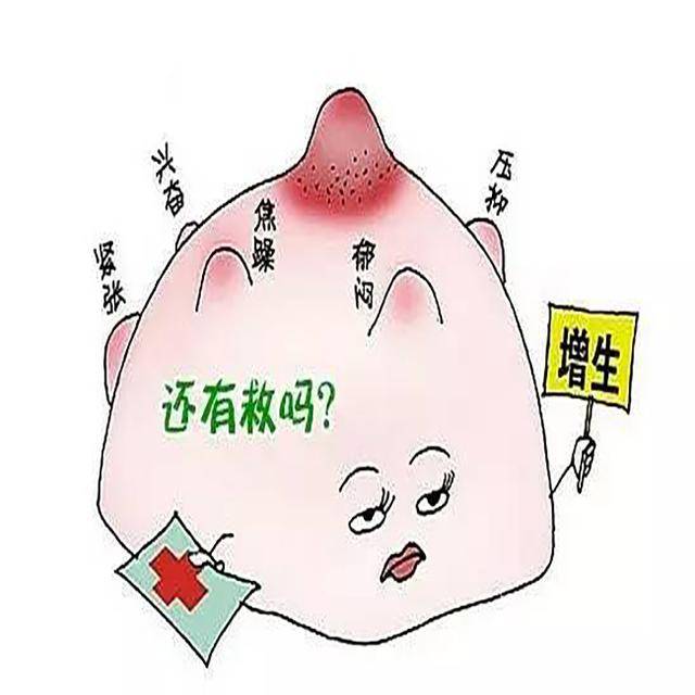 乳腺增生硬块图图片